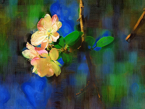 海棠花 裝飾畫(huà)