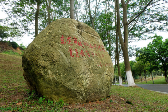樹林石頭刻字