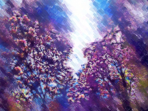 香格里拉
