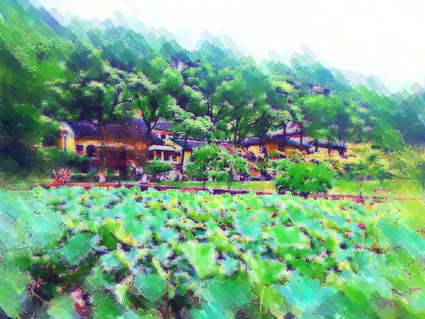 自然風(fēng)光