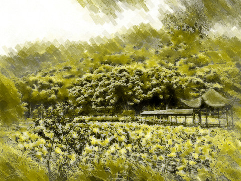 自然風(fēng)光