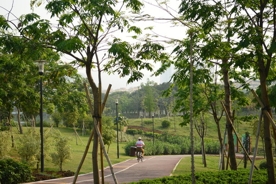 公園景觀