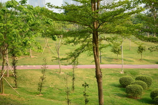 公園景觀