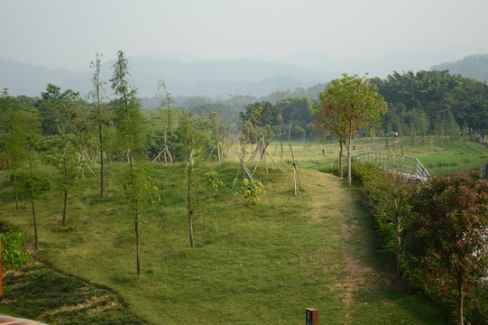 公園景觀