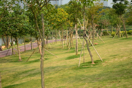 公園一角