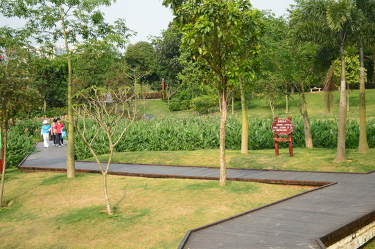 公園一角