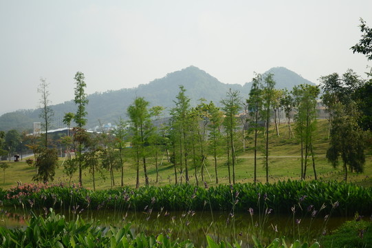 公園一角