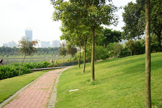 公園一角