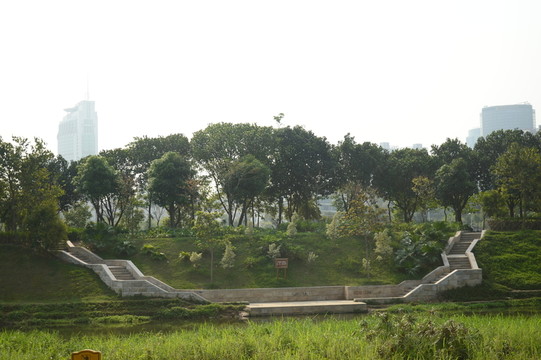公園一角