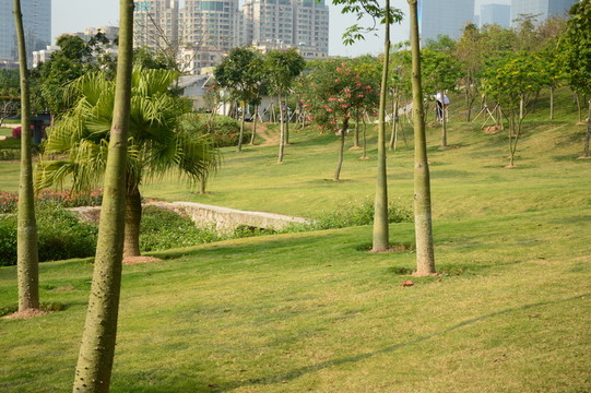 公園一角