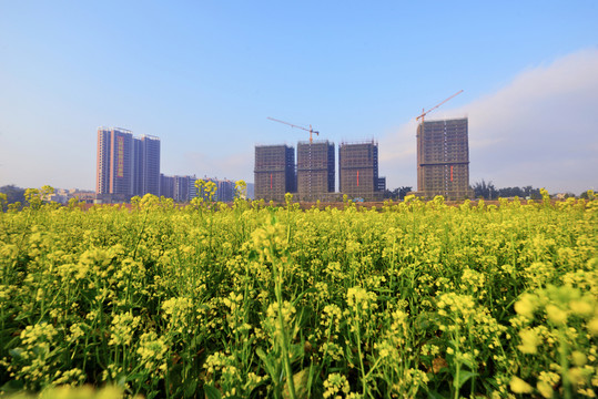 城市建設