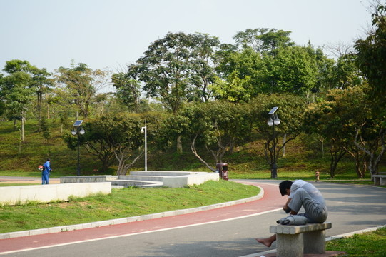 中心公園一角