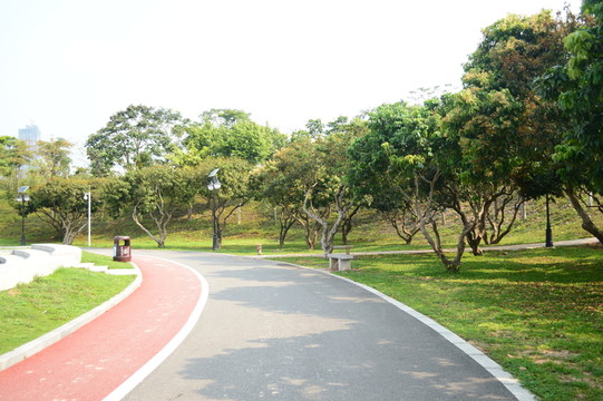 公路荔枝園