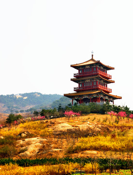 春天大山鮮花中仿古樓閣
