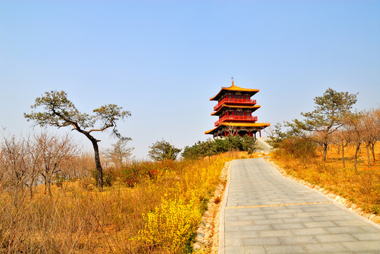 仿古樓閣建筑