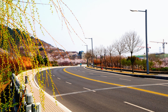 春光灑滿環(huán)山路