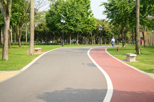 公園公路