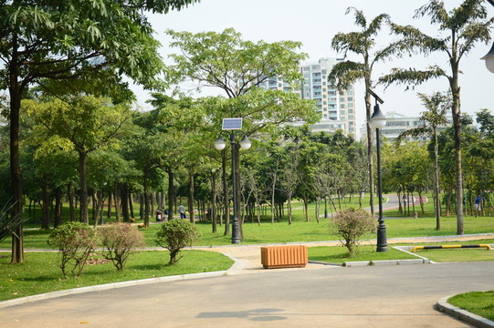 公園公路