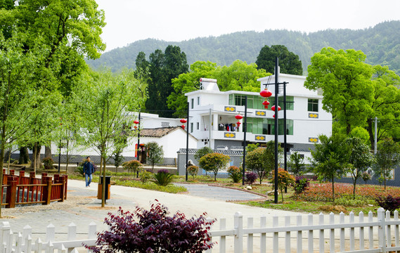 城鎮(zhèn)建設(shè) 綠化