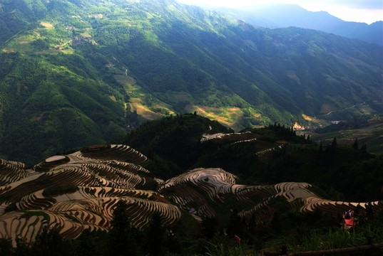 龍勝梯田