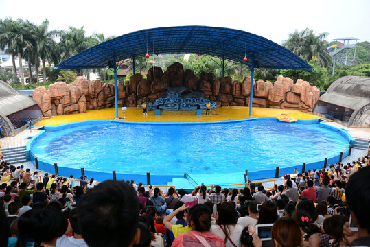動(dòng)物園海獅表演現(xiàn)場(chǎng)
