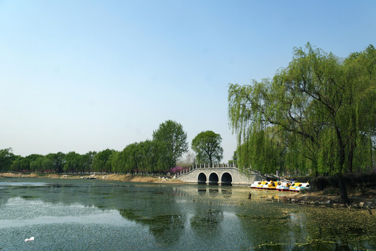 公園 園林