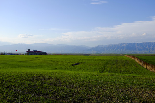 田野