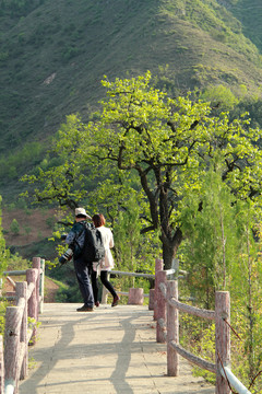 戶(hù)外