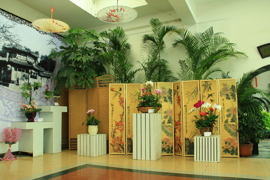 富貴竹 插花  蘭花展