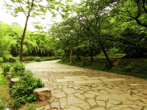公園小路