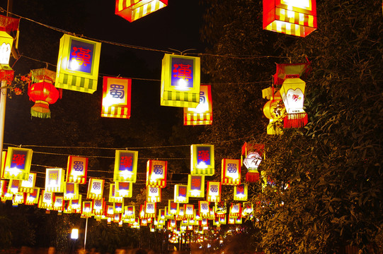 武侯祠燈會(huì)