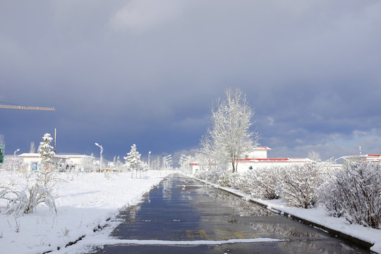 下雪的小路