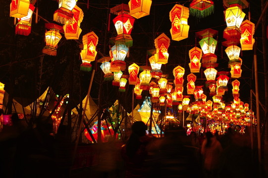 武侯祠燈會
