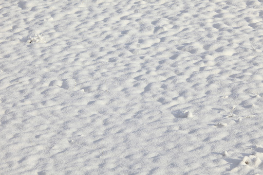 雪