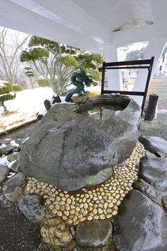 雕龍水池