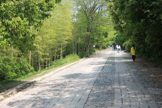 山路