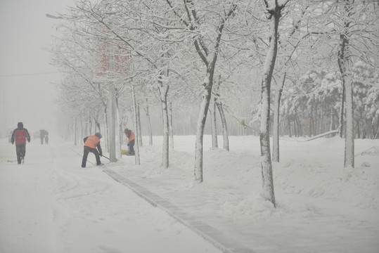 雪中的環(huán)衛(wèi)