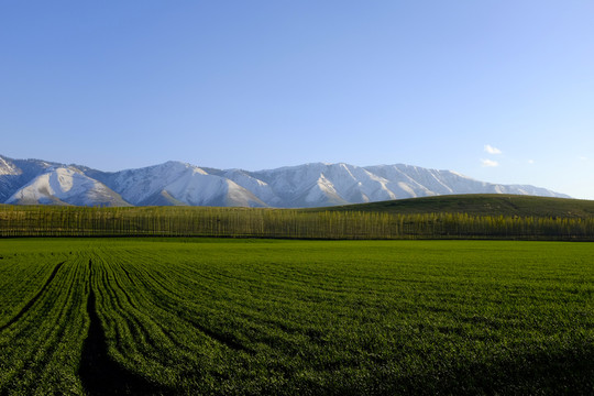 田野 全景