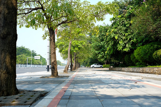 人行道