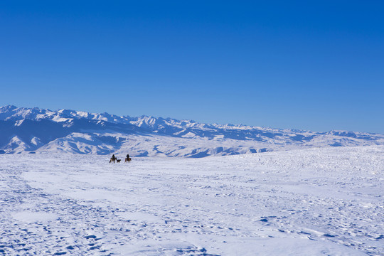 冰雪世界  雪景