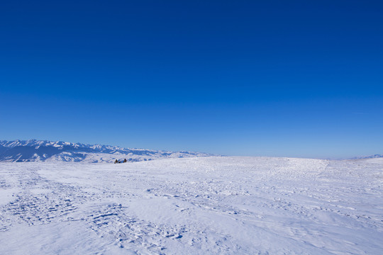 雪原