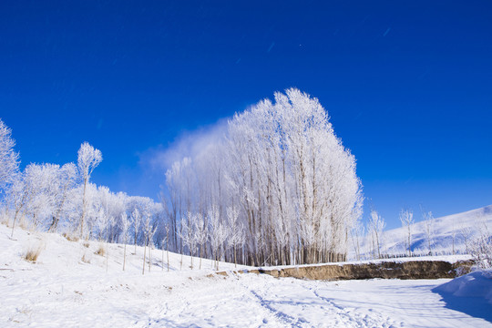 霧凇 藍(lán)天 雪景