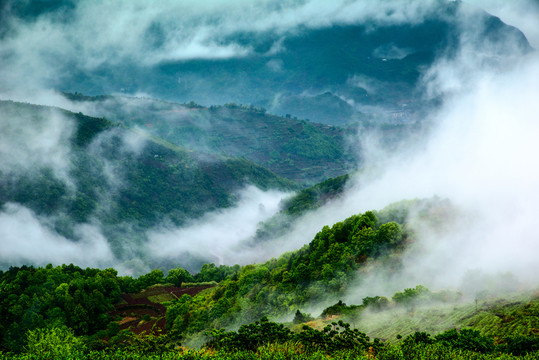 山