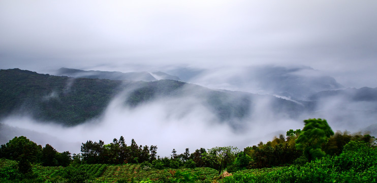 山