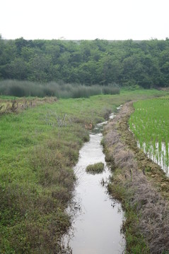 田園水溝