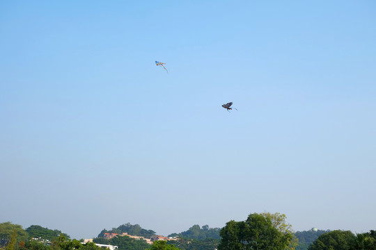 風(fēng)箏在天空飛