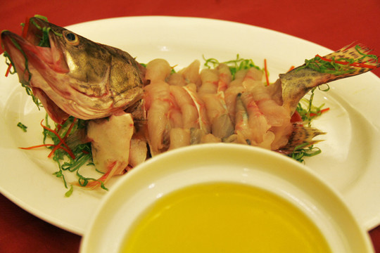 翅湯桂魚