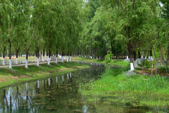 北京長(zhǎng)溝濕地景色
