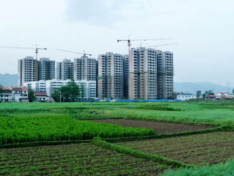 新農(nóng)村