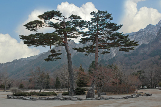 韓國月岳山國立公園